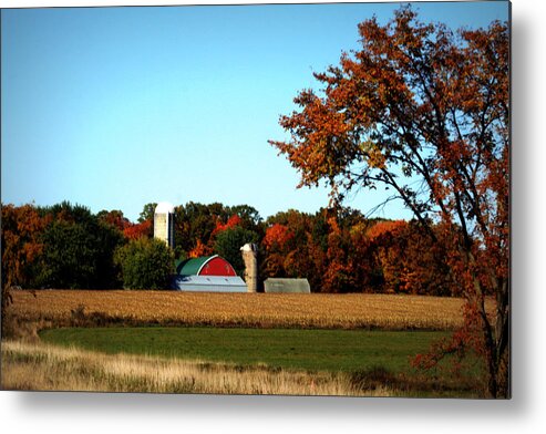 Autumn Metal Print featuring the photograph Nestled Among The Autumn Woods by Kay Novy