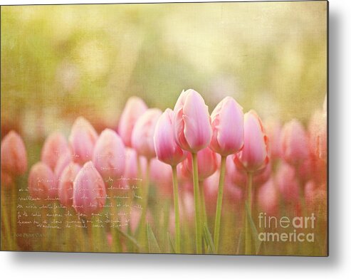 Bloom Metal Print featuring the photograph New Beginnings by Beve Brown-Clark Photography