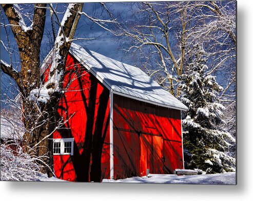New England Winter Metal Print featuring the photograph New England Winter by Karol Livote