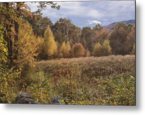 New Hampshire Autumn Metal Print featuring the photograph New Hampshire Colors by Tom Singleton