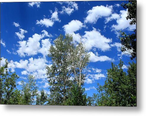 Blue Metal Print featuring the photograph New Mexico Blue Sky White Clouds and Birch Trees by Elizabeth Sullivan
