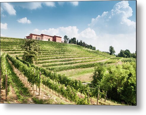 Scenics Metal Print featuring the photograph Nice Vineyard Landscape In North Of by Bosca78