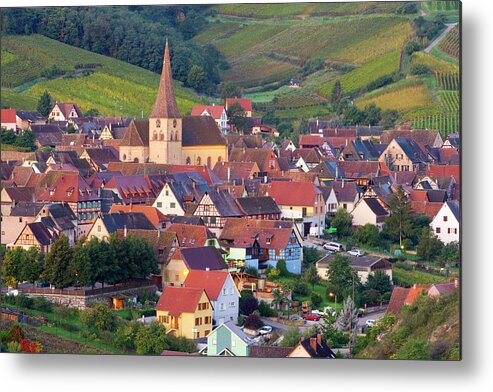 Agriculture Metal Print featuring the photograph Niedermorschwihr, Alsace, France by Peter Adams