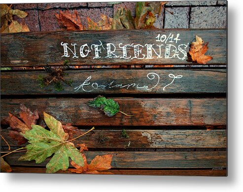 Fall Metal Print featuring the photograph No Friends by Gwyn Newcombe