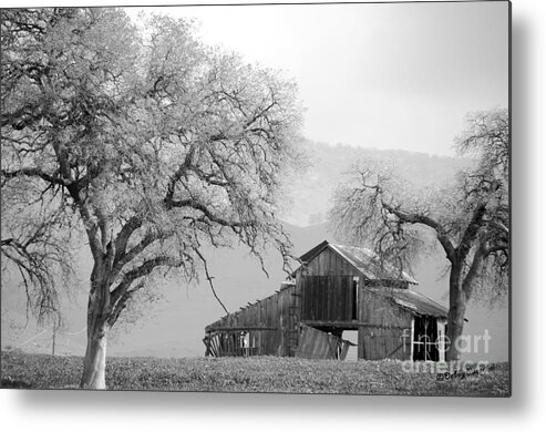 Barn Metal Print featuring the photograph Not Much TIme Left BW by Debby Pueschel