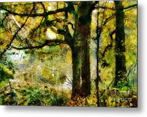 Autumn Metal Print featuring the photograph Oak Trees by Dariusz Gudowicz