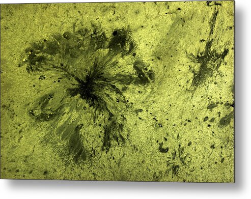 Water Metal Print featuring the photograph Oil In Water 1 by Rajiv Chopra