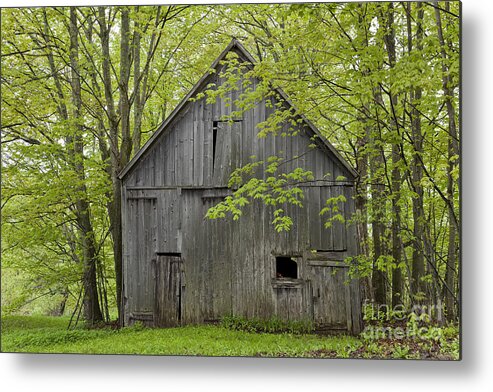 Spring Metal Print featuring the photograph Old Barn In Spring Woods by Alan L Graham