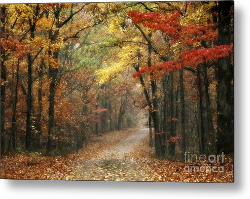 Natchez Trace Metal Print featuring the photograph Old Trace Fall - Along the Natchez Trace in Tennessee by T Lowry Wilson