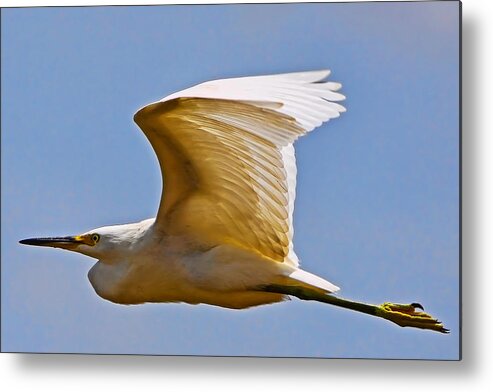 Island Metal Print featuring the photograph On Angel's Wings by Gary Holmes