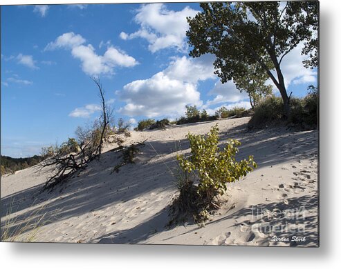 Dune Metal Print featuring the photograph On the Dune by Verana Stark