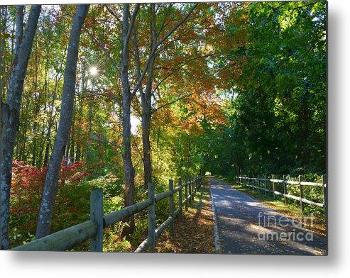 Path Metal Print featuring the photograph On The Right Path by Tammie Miller