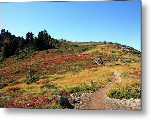 Landscape Metal Print featuring the photograph On the Trail in the Fall by Gerry Bates
