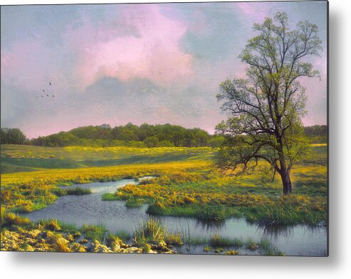 #landscape Metal Print featuring the photograph On this beautiful day by John Rivera