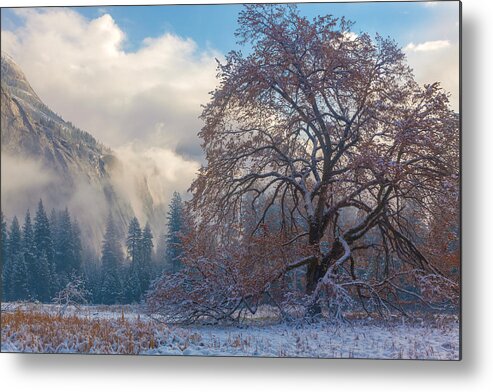 Landscape Metal Print featuring the photograph One Beauty by Jonathan Nguyen