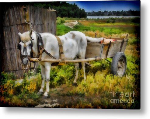 Ken Metal Print featuring the photograph One Horse Wagon by Ken Johnson