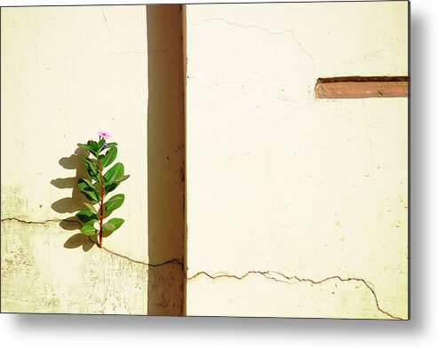Motivation Photography Metal Print featuring the photograph Optimism Pays by Prakash Ghai