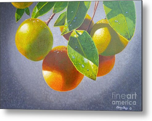Oranges Metal Print featuring the painting Oranges by Carey Chen