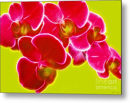 Chartreuse And Pink Metal Print featuring the photograph Orchids On Chartreuse by Kathie McCurdy