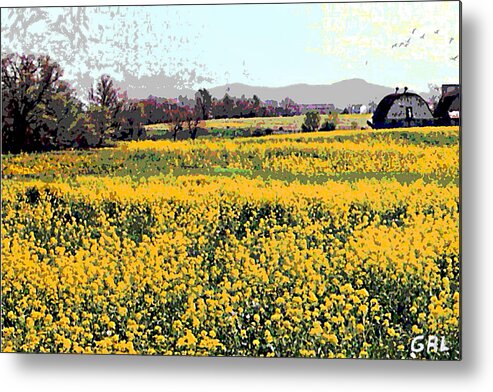 Maryland Metal Print featuring the painting Original Fine Art Digital Fields Yellow Flowers Maryland by G Linsenmayer