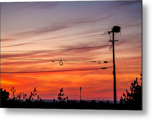 Osprey Nest Metal Print featuring the photograph Ospery Penthouse by Jennifer Kano