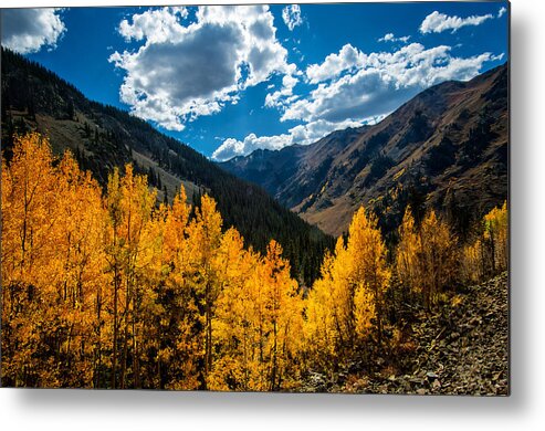 Fall Metal Print featuring the photograph Ouray Gold by Elin Skov Vaeth