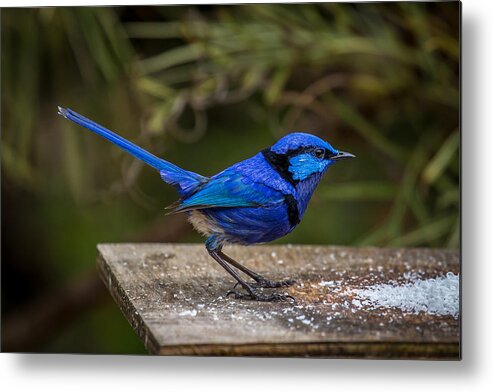 Blue Metal Print featuring the photograph Outside Diner by Robert Caddy