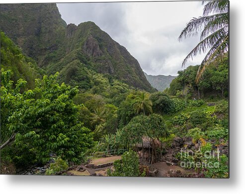 Hawaii Metal Print featuring the photograph Overview of the Iao Needle State Park Maui by Don Landwehrle