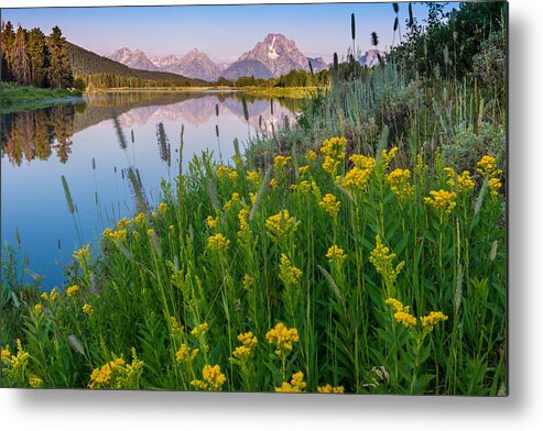 Grand Teton Metal Print featuring the photograph Oxbow Bend - Grand Teton National Park by Mike Walker