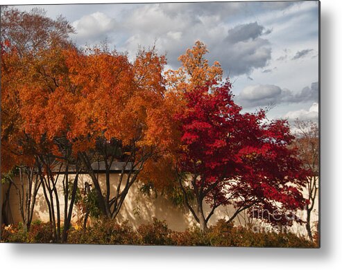 Fall Metal Print featuring the photograph Painted Autumn by Terry Rowe