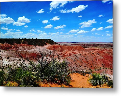 Route 66 Metal Print featuring the photograph Painted Desert by Cat Rondeau