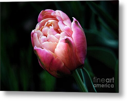 Tulip Metal Print featuring the digital art Painted Tulip by Trina Ansel
