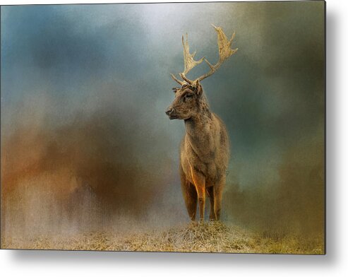 Dama Dama Metal Print featuring the photograph Painterly Fallow Buck by Jai Johnson