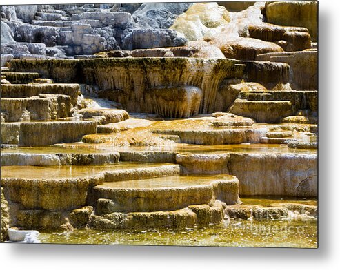 Hot Spring Terraces Metal Print featuring the photograph Palette Spring 2 Yellowstone National Park WY by Dan Hartford