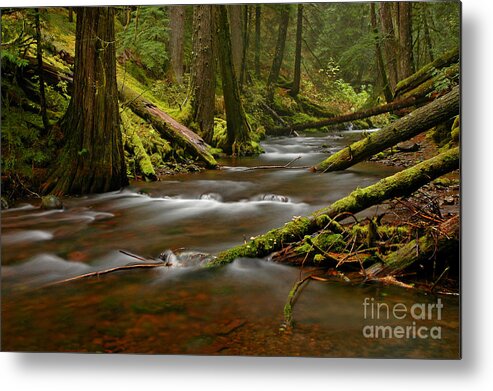 Panther Metal Print featuring the photograph Panther Creek Landscape by Nick Boren