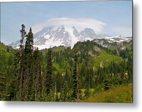 Mt.rainier Metal Print featuring the photograph Paradise Valley and Mt. Rainier View by Tikvah's Hope