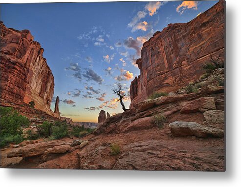 Southwestern Art Metal Print featuring the photograph Park Avenue Trail by Steve White