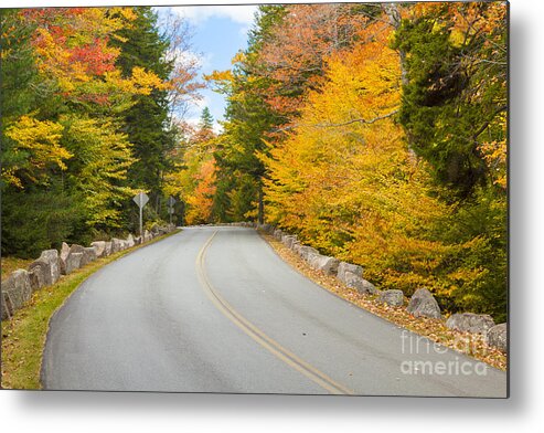 Autumn Metal Print featuring the photograph Park Loop Road in Autumn Acadia National Park Maine by Ken Brown