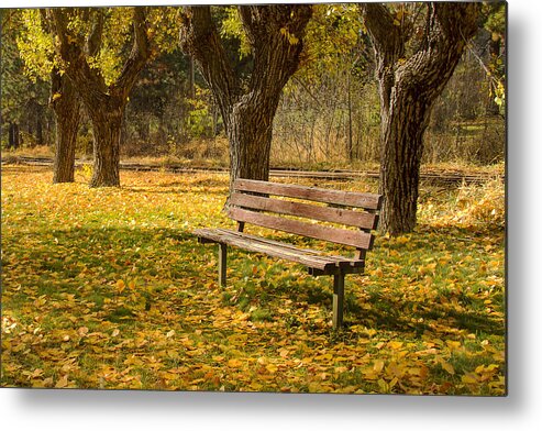 Park Metal Print featuring the photograph Parkside by Randy Wood