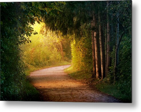Trail Metal Print featuring the photograph Path to Enlightenment by Rob Blair