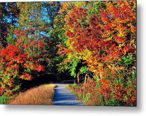 Fall Metal Print featuring the photograph Path to Fall by Lynn Bauer
