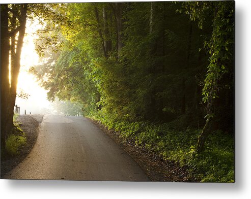Cades Cove Metal Print featuring the photograph Path to the Light by Andrew Soundarajan