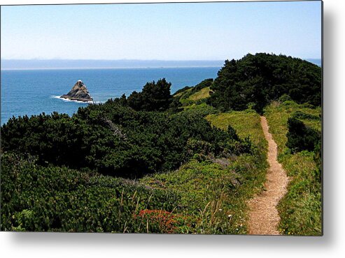 Scenic Metal Print featuring the photograph Path to the Sea by AJ Schibig