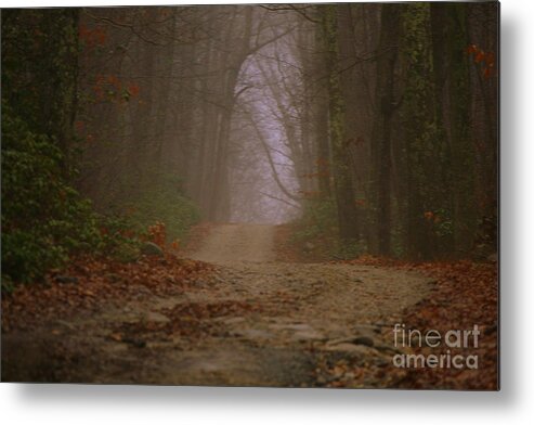 Country Road Metal Print featuring the photograph Path to Wolf Den by Neal Eslinger