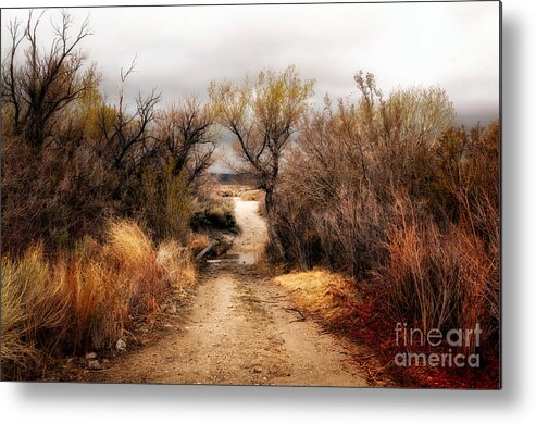 Manzanar Metal Print featuring the photograph Pathway to Numen by Jennifer Magallon