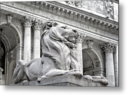 New York Public Library Metal Print featuring the photograph Patience The NYPL Lion by Susan Candelario