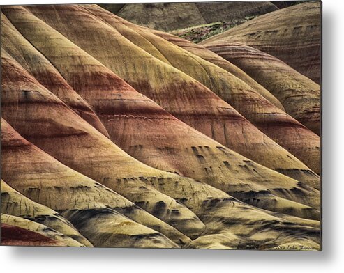 Hills Metal Print featuring the photograph Patterns by Erika Fawcett