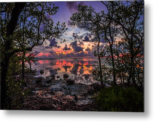 Nature Metal Print featuring the photograph Peaceful Days End by George Kenhan