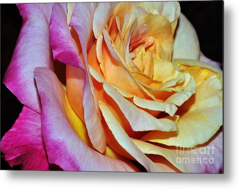 Photography Metal Print featuring the photograph Peach Pink Passion by Kaye Menner