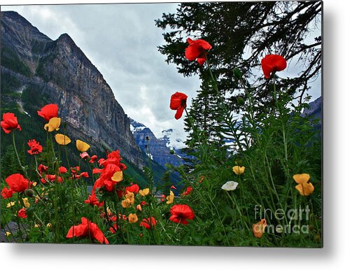 Peak Metal Print featuring the photograph Lake Louise with Poppies by Linda Bianic